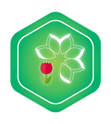 سامانه مدیریت اطلاعات ایثارگران 